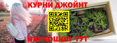 ГАЛЛЮЦИНОГЕННЫЕ ГРИБЫ Берёзовский