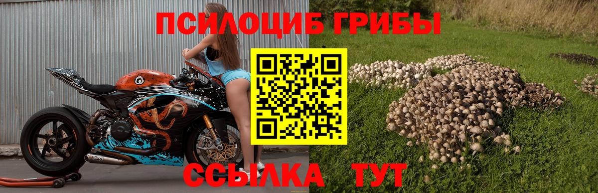 Березники  Псилоцибиновые грибы прущие грибы  Галлюциногенные грибы Magic Shrooms  Вход с VPN 